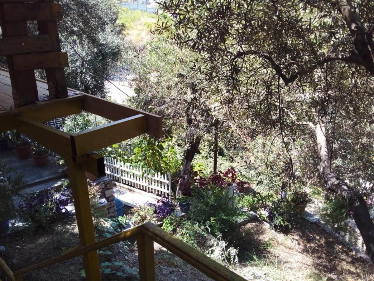 Bungalow Di Fronte Al Mare * Wlora